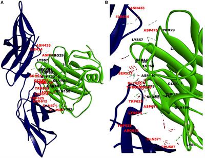 C-Reactive Protein (CRP) and Leptin Receptor in Obesity: Binding of Monomeric CRP to Leptin Receptor